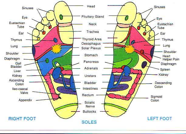 How Reflexology Can Help You Physically Mentally And Emotionally ⋆ Beyond Reflexology In Salt